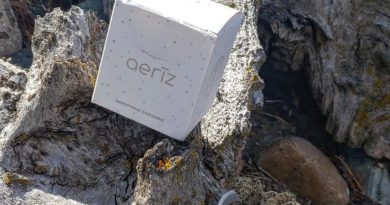 potus berriez by aeriz strain review by theweedadvocate