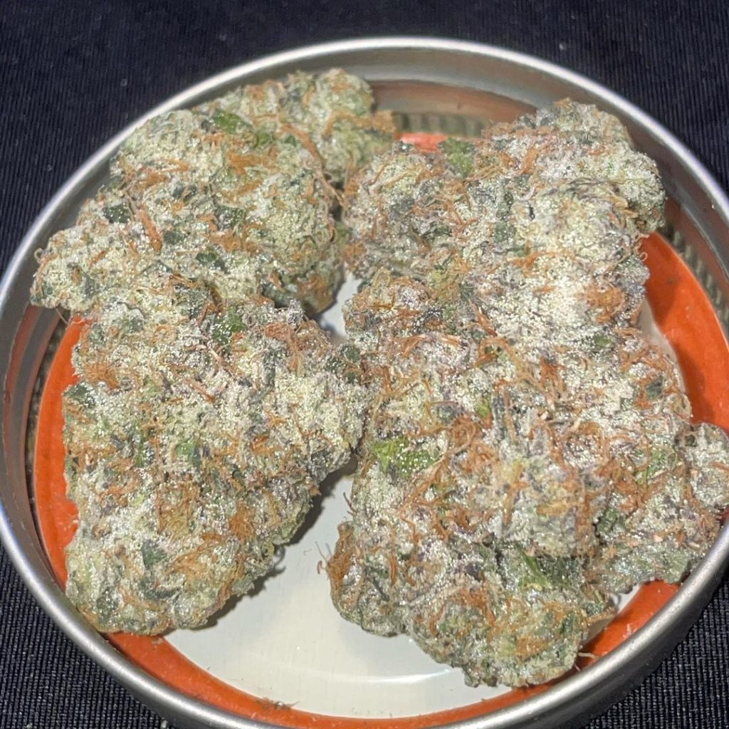 pre-64 runtz by pax genetics strain review by toptierterpsma