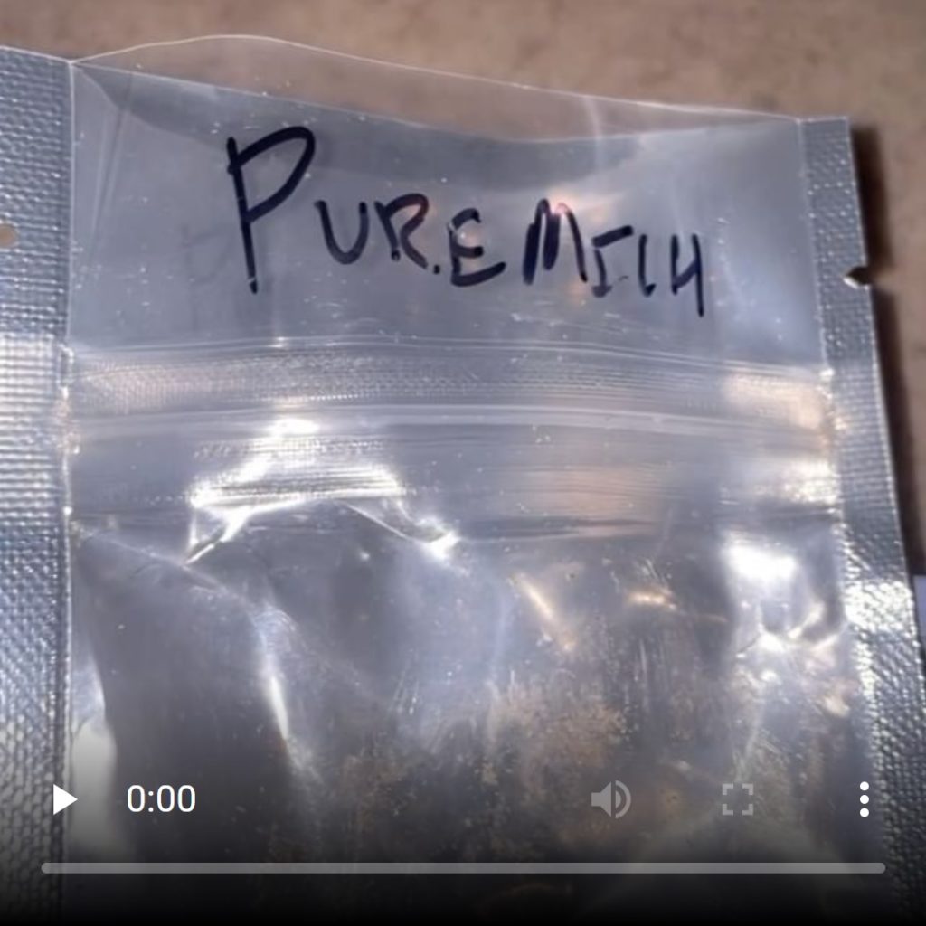 pure michigan by madd mike strain review by letmeseewhatusmokin