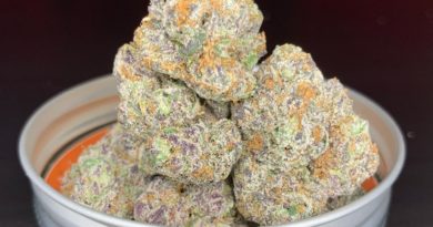run+z by highly cultivated strain review by pnw.chronic
