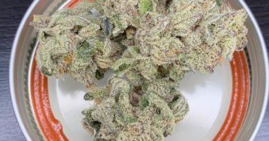 say less by eugreen notill farms strain review by pnw.chronic 3