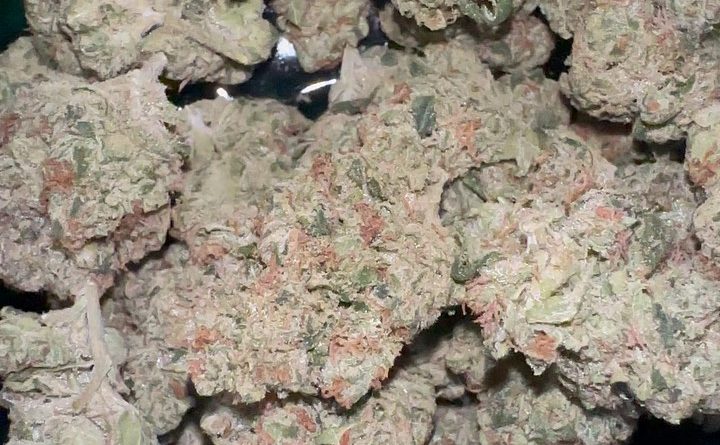 secret sour by greasy couture strain review by fear.the.terps