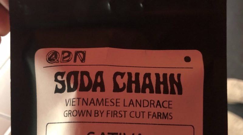 soda chahn vietnamese landrace by first cut farms strain review by caleb chen