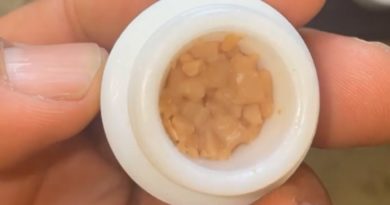 sour tangie live rosin by live rosin dab review by letmeseewhatusmokin