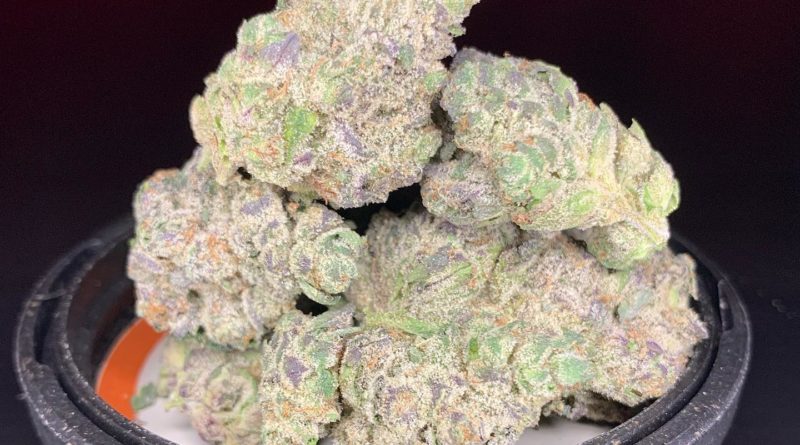 sugar berry scone by louis vuchron strain review by pnw.chronic