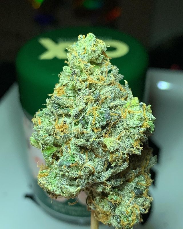 the silk by cannabiotix strain review by ogkushhunter 2