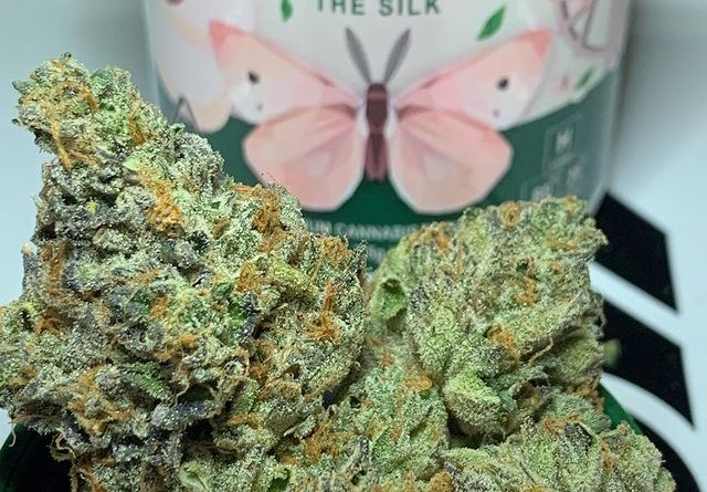 the silk by cannabiotix strain review by ogkushhunter