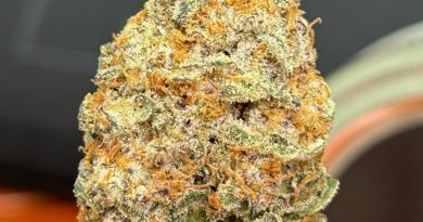 zero gravity by 9 mile farms strain review by cali_bud_reviews