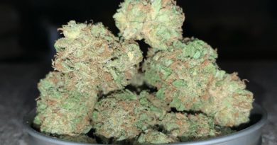 zkittlez by ba botanicals strain review by pnw.chronic 2