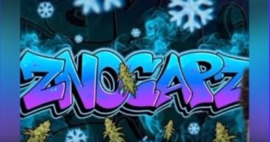 znocapz by big z strain review by robbreefa