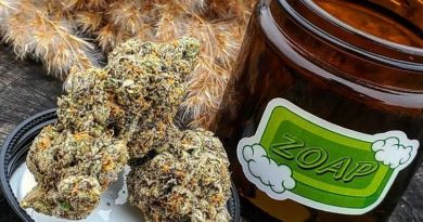 zoap by loganlocal strain review by theweedadvocate