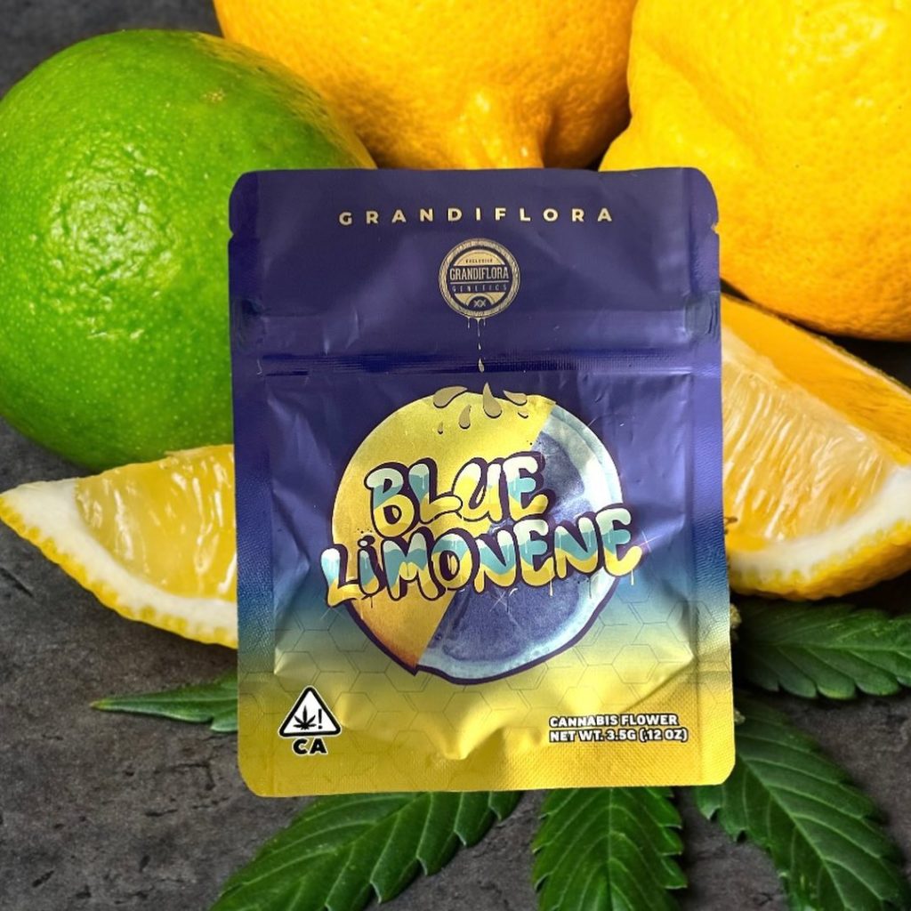 blue limonene by grandiflora genetics strain review by thethcspot