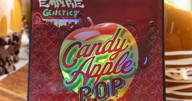 candy apple pop by empire genetics strain review by thethcspot