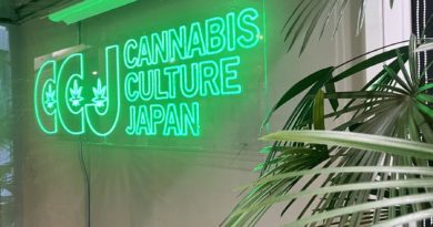 cannabis culture japan