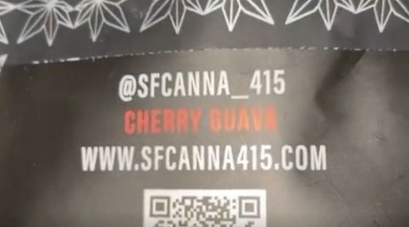 cherry guava by sf canna strain review by letmeseewhatusmokin