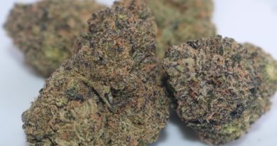 double stuffed french toast by og cookie monster strain review by biscaynebaybudz