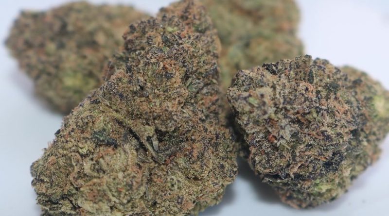 double stuffed french toast by og cookie monster strain review by biscaynebaybudz