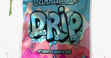 drip by cannatique strain review by thethcspot 2