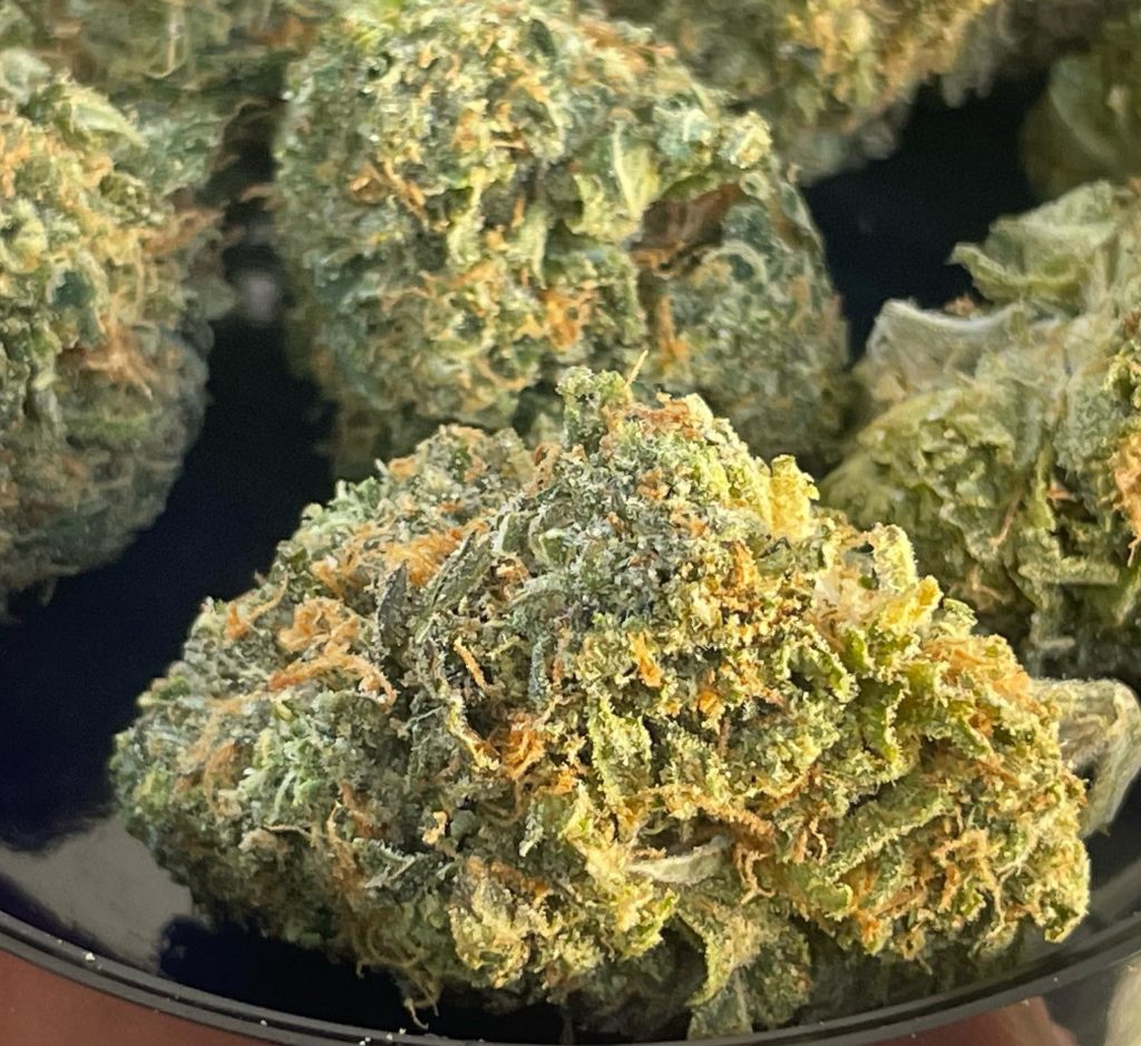 f1 zenna by snowball exotics strain review by thethcspot