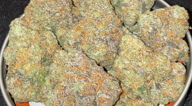 gary payton by north shore boys strain review by toptierterpsma