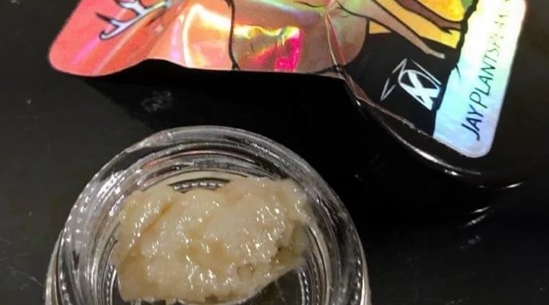 gmo rosin by solventless mind dab review by medsforheads