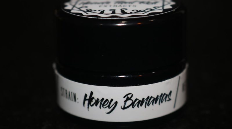 honey bananas live rosin by heads that roll extracts dab review by biscaynebaybudz 2
