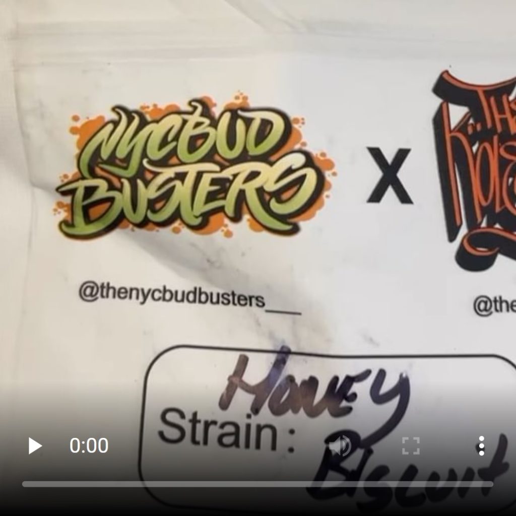 honey biscuit by the kolektors x nyc bud busters strain review by letmeseewhatusmokin