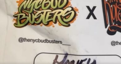 honey biscuit by the kolektors x nyc bud busters strain review by letmeseewhatusmokin