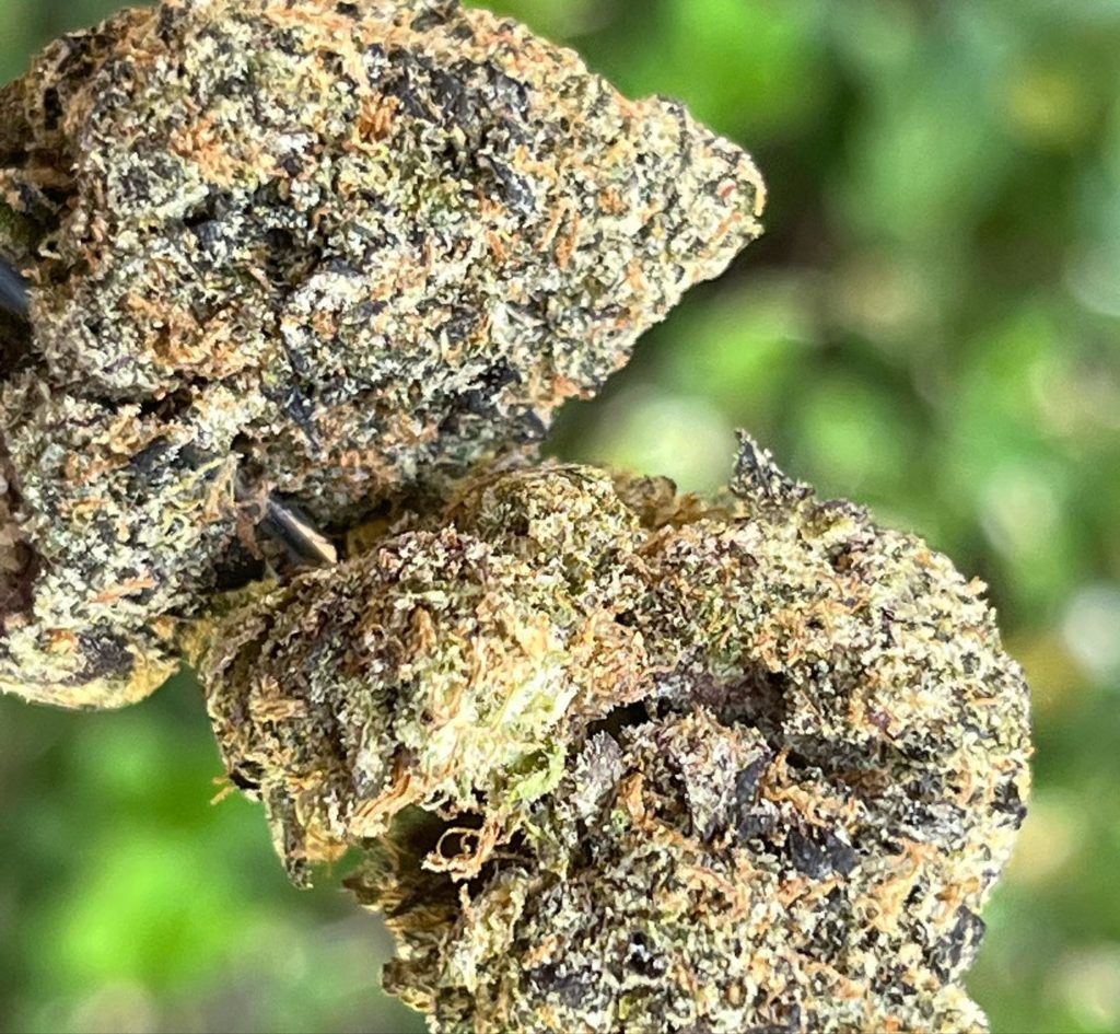jelly roll by deep east strain review by thethcspot 2