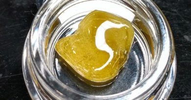 love park dogwalker og fresh press by brown bag seeds dab review by medsforheads