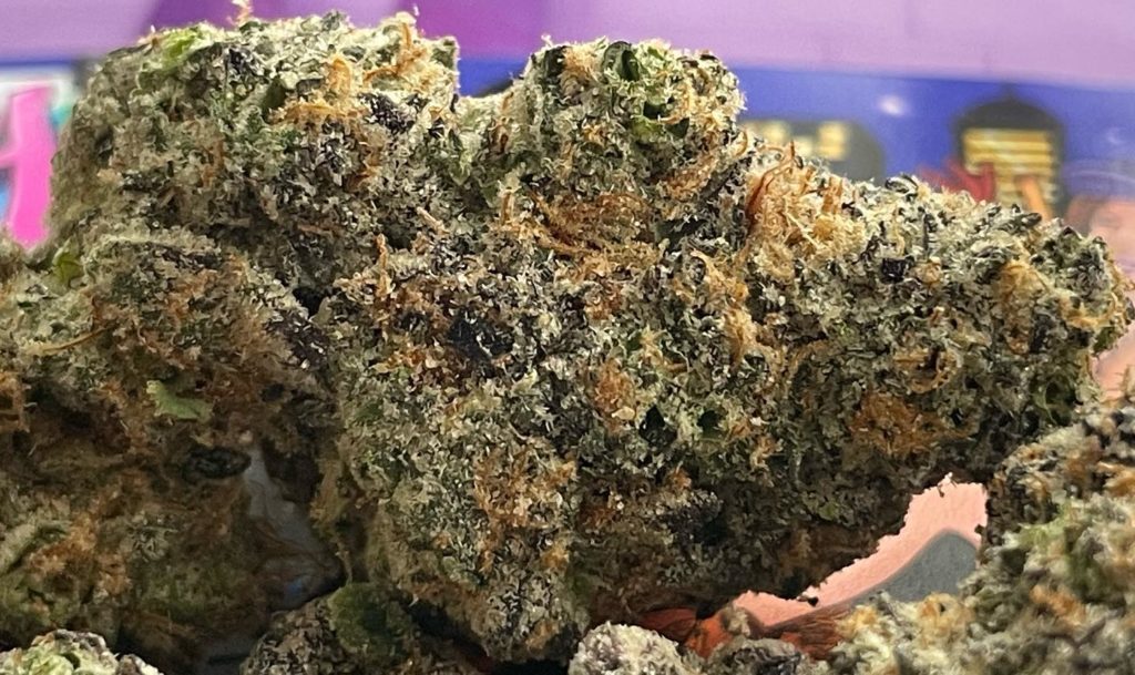 martha wayne by candy paint flowers strain review by thethcspot 2