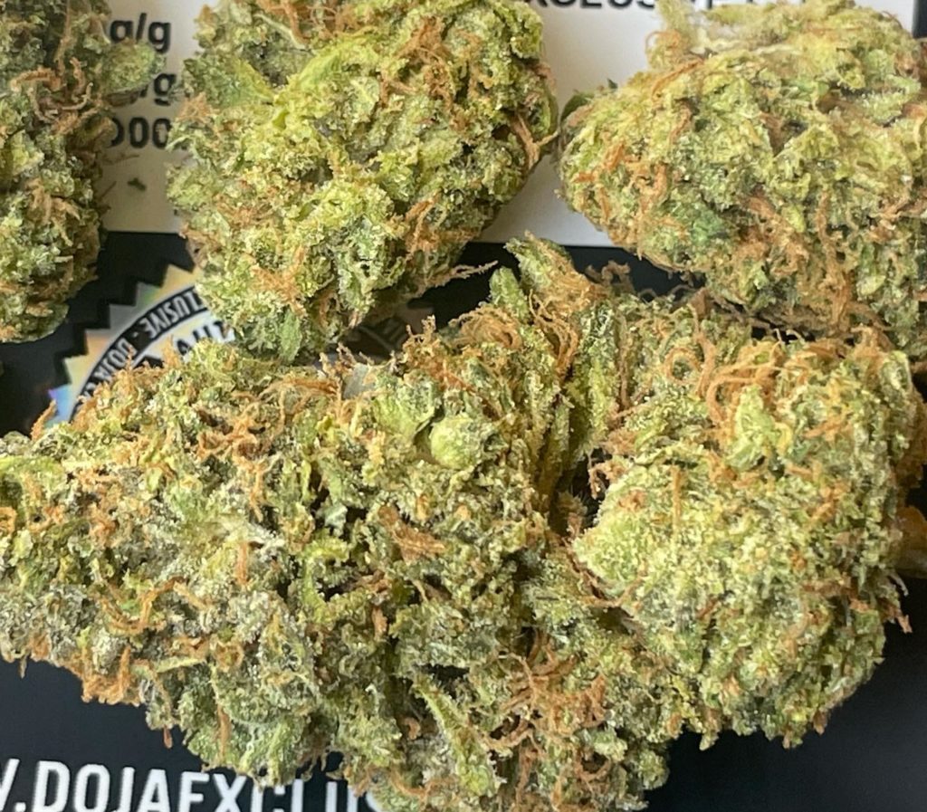 organic z by doja exclusive strain review by thethcspot 2