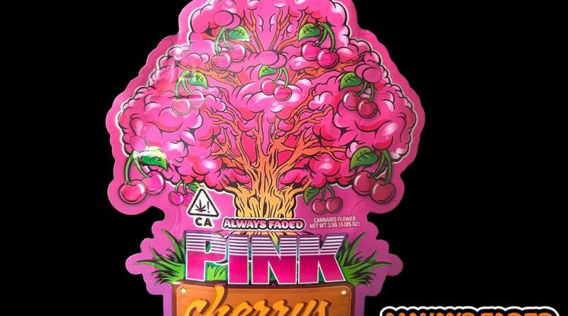 pink cherrys by always faded strain review by thethcspot