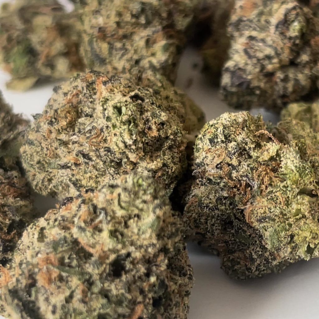 platinum lemon cherry gelato by cannatique strain review by thethcspot 2