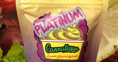 platinum lemon cherry gelato by cannatique strain review by thethcspot