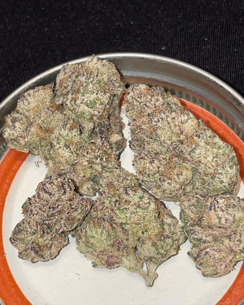 purple truffle by trufflez strain review by toptierterpsma 2