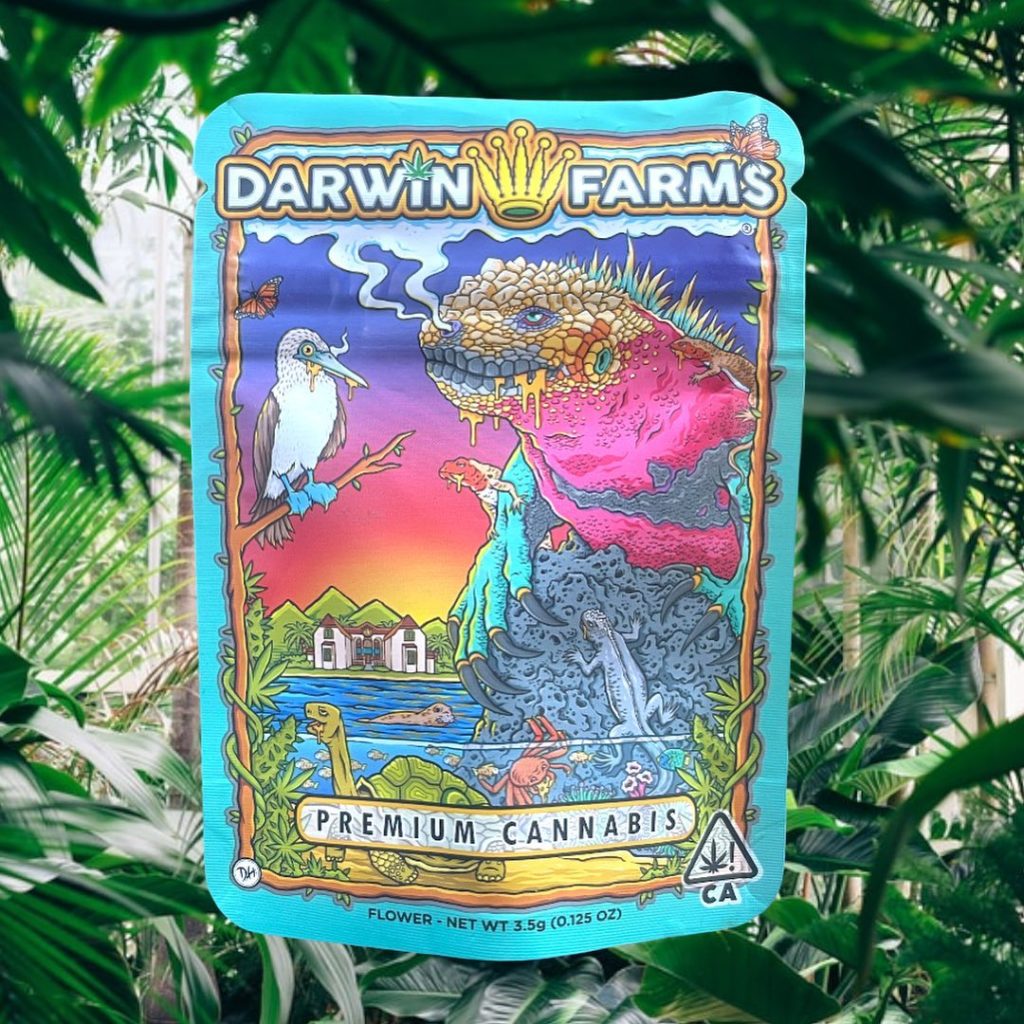 rainbow sherbet by darwin farms strain review by thethcspot