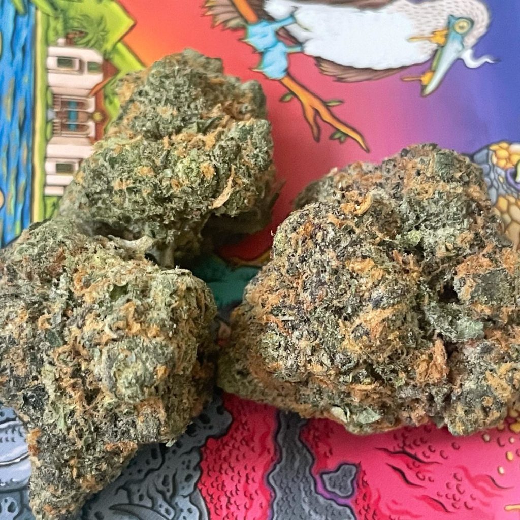 rainbow sherbet by darwin farms strain review by thethcspot 2