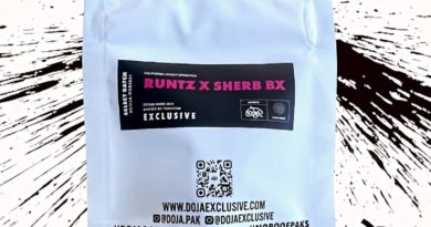 runtz x sherb bx by doja exclusive strain review by thethcspot