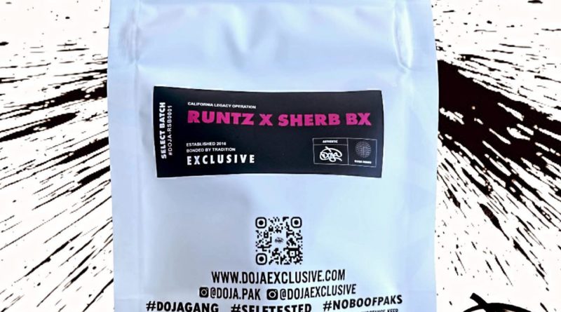 runtz x sherb bx by doja exclusive strain review by thethcspot