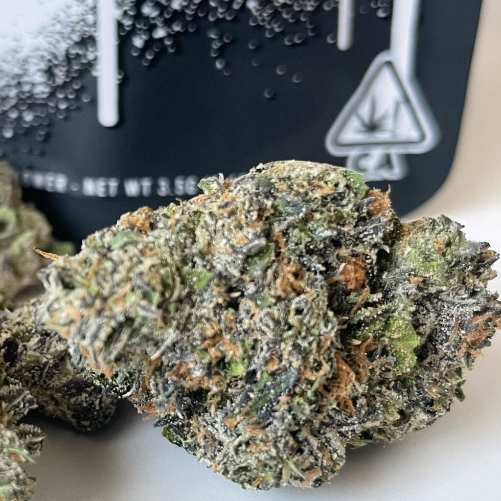 sherb x cherry gelato by doja exclusive strain review by thethcspot