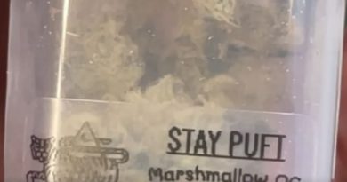 stay puft by 7th spore x up in shmoke 914 strain review by letmeseewhatusmokin