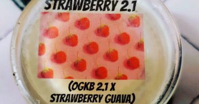 strawberry 2.1 fresh press rosin by the real cannabis chris dab review by nc rosin reviews (2)