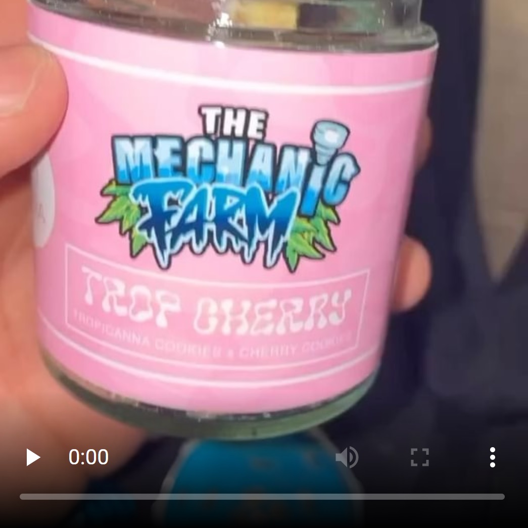 trop cherry by the mechanics farm strain review by letmeseewhatusmokin