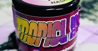 tropical infusion rosin by secret society hash co dab review by nc rosin reviews (2)