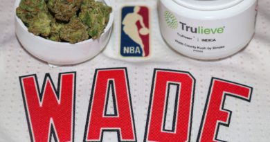 wade county kush by binske strain review by biscaynebaybudz