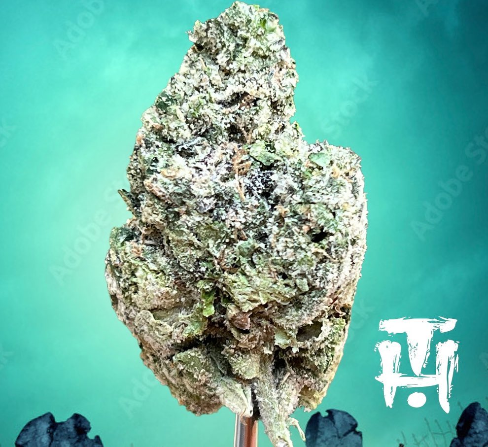 zruntz by global genetics x terp hogz strain review by thethcspot 2