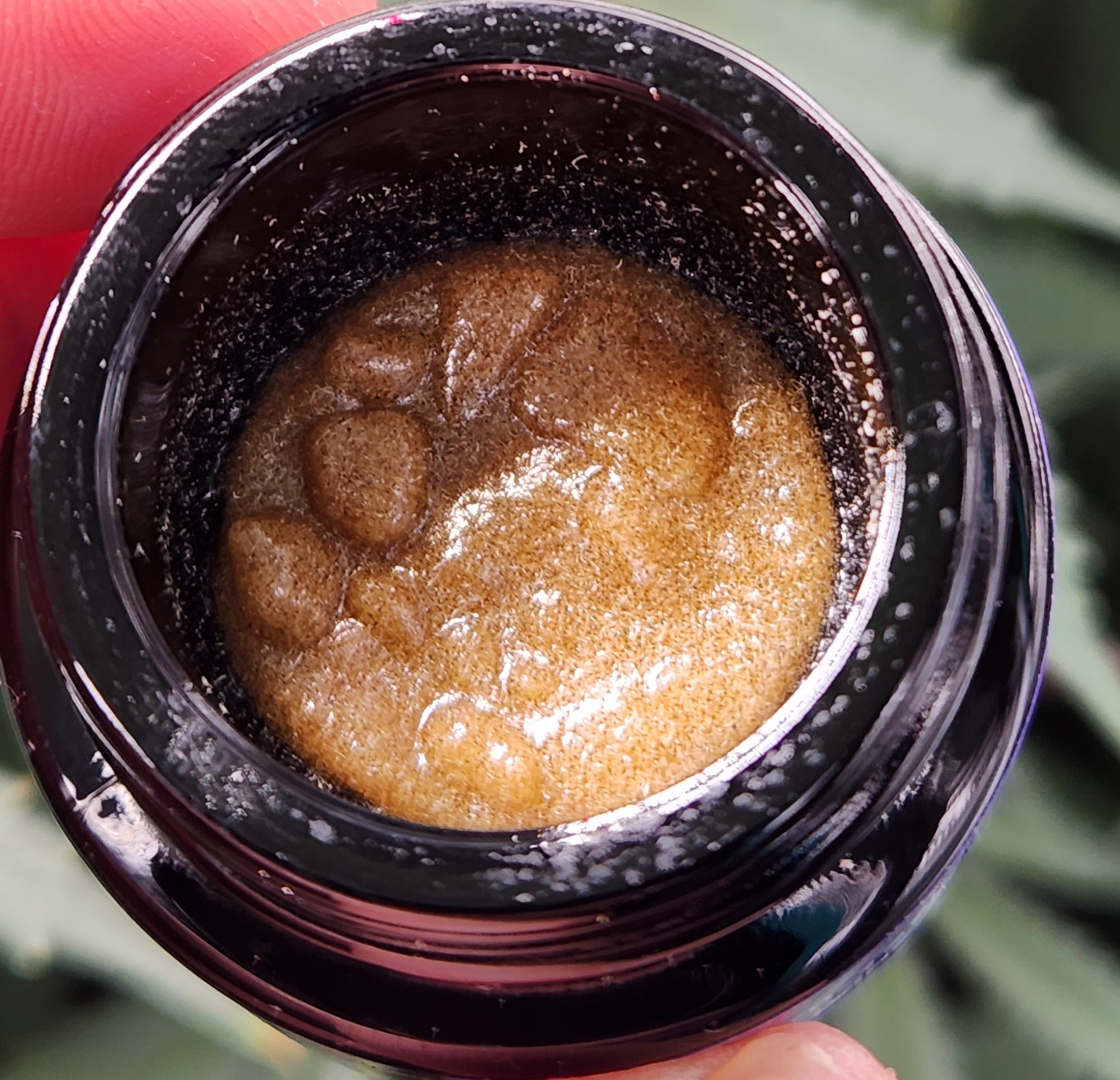 Spiral Light Farm Papaya Bomb ice hash