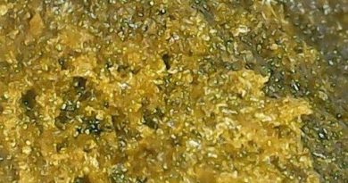 afghan black pressed hash by vortex hash review by terple grapes