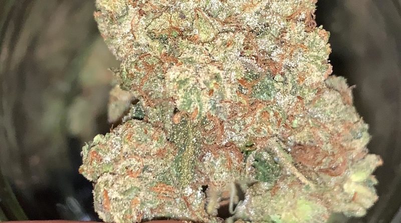 b easy bud og by b-eazy buds strain review by feartheterps